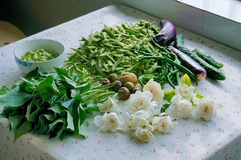 别人问我在农村靠什么活着？靠雪山大地、日升月落、四时耕种活着